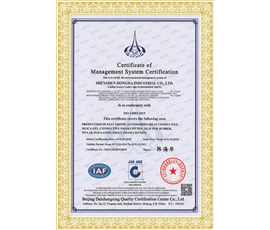 Management system certification