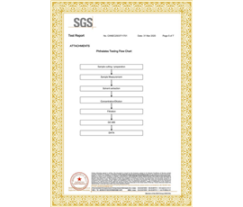 SGS英文版5